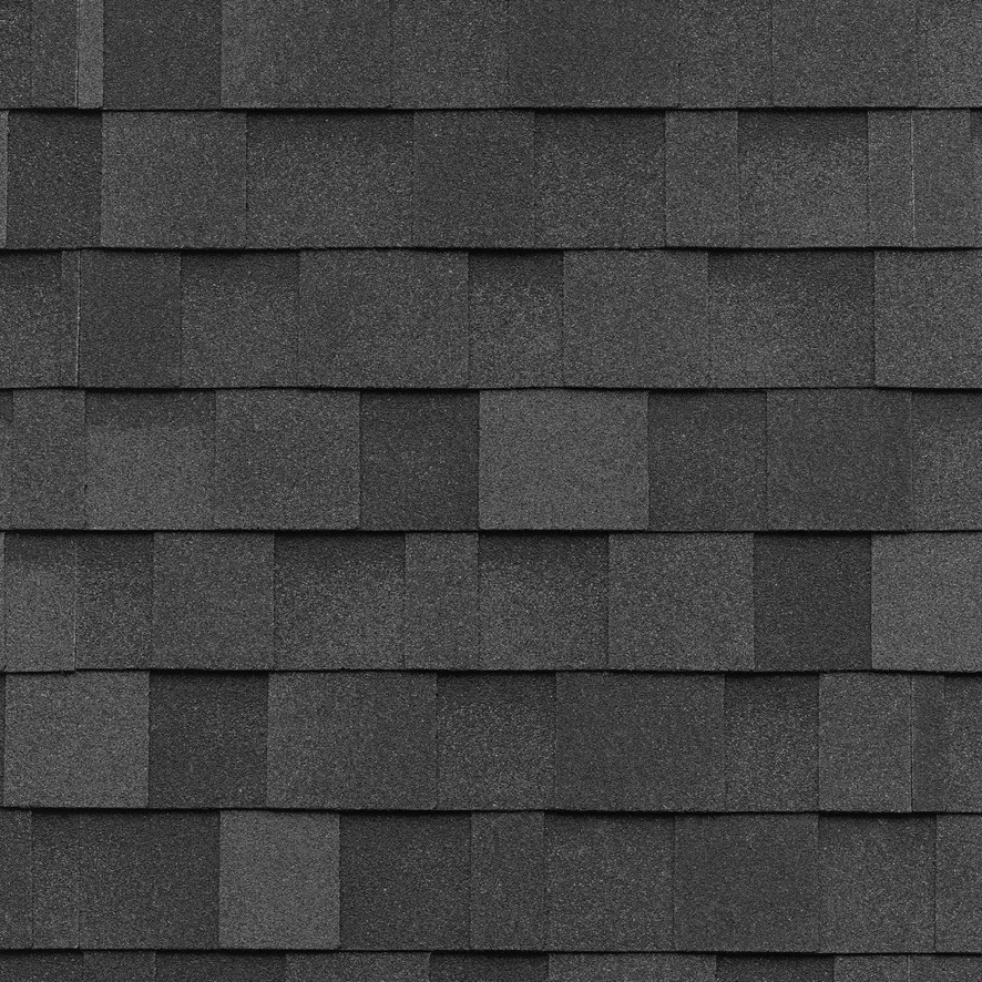 IKO Dynasty Granite Black shingle color